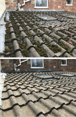 Roof moss removal & treatment, Woodchester