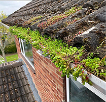 Are your gutters struggling with these April showers?