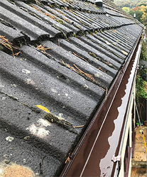 Gutter clearing season is upon us!