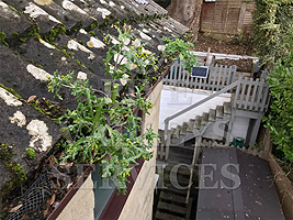 Autumn/Winter gutter clearing