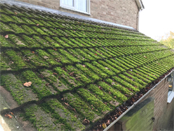 Moss removal & biocide treatment in Whiteshill