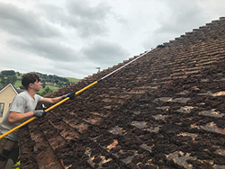 Moss removal & biocide treatment in Ebley